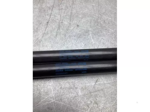 Set Gasdempers Achterklep-8282910 (22451428)