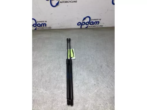 Set Gasdempers Achterklep-8282910 (22451428)