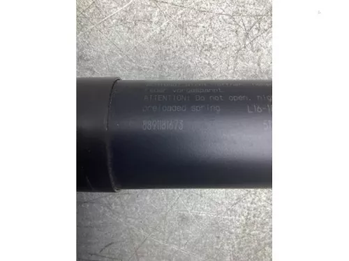 Set Gasdempers Achterklep-8030427 (18522297)