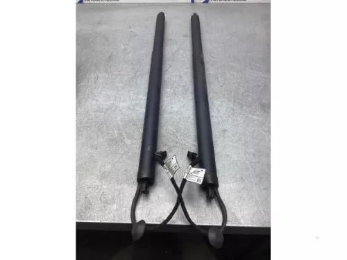 Set Gasdempers Achterklep-8030427 (18522297)
