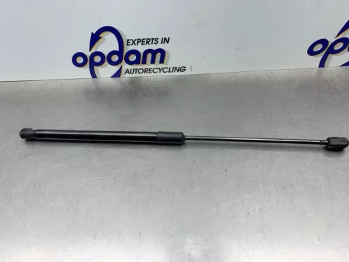 Set Gasdempers Achterklep-8250005 (21499962)