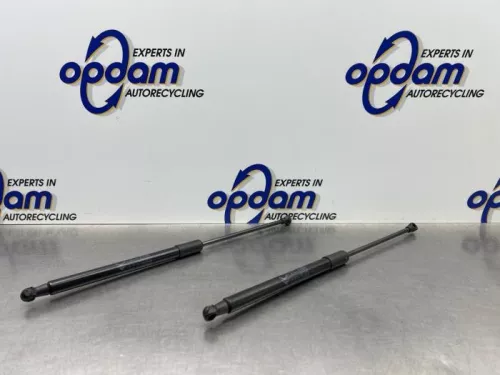 Set Gasdempers Achterklep-8184557