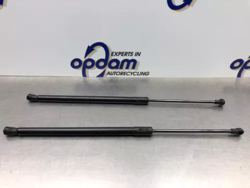 Set Gasdempers Achterklep-7987764
