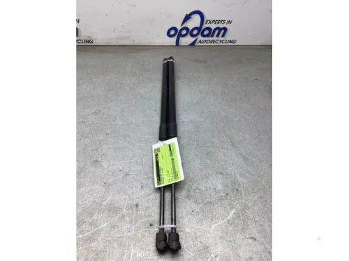 Set Gasdempers Achterklep-7912223