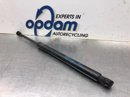 Set Gasdempers Achterklep-8036963 (19424777)