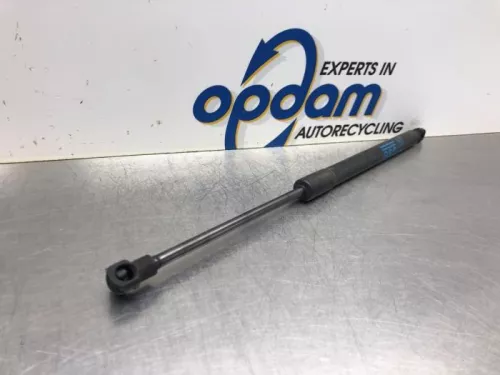 Set Gasdempers Achterklep-8036963 (19424777)