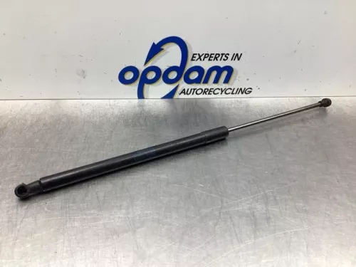 Set Gasdempers Achterklep-7737594 (17703852)
