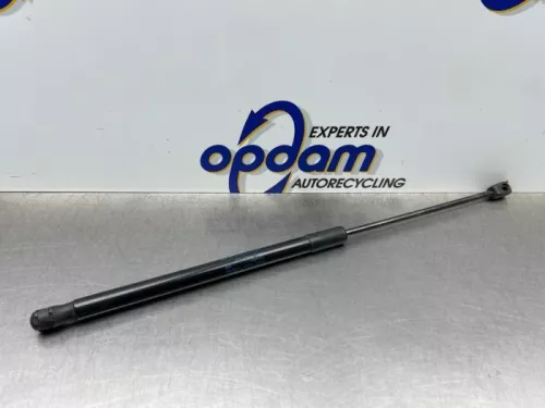 Set Gasdempers Achterklep-8269556 (22535958)