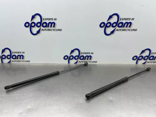 Set Gasdempers Achterklep-8269556