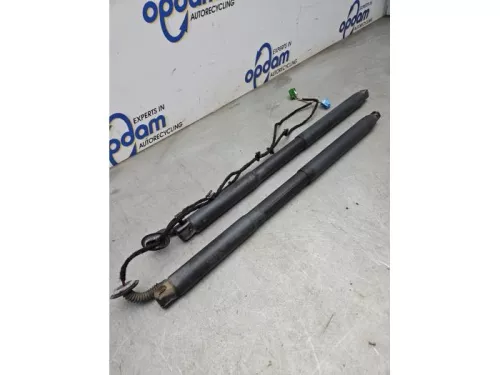 Set Gasdempers Achterklep-8270119