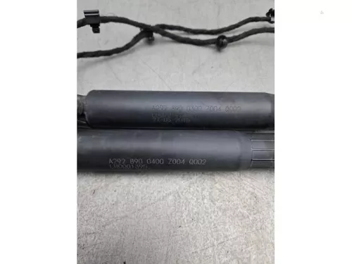Set Gasdempers Achterklep-8270119 (21946165)