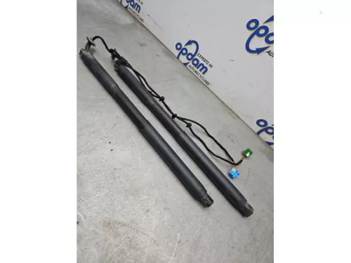 Set Gasdempers Achterklep-8270119 (21946165)