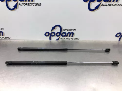 Set Gasdempers Achterklep-8115130 Set Gasdempers Achterklep-8115130