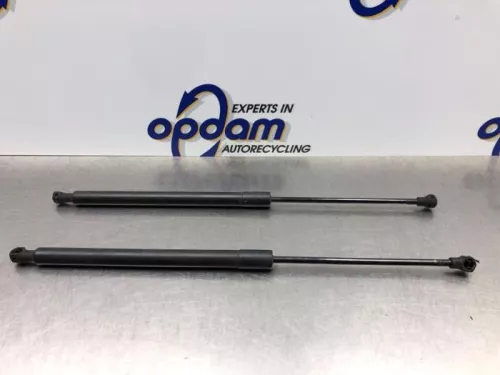 Set Gasdempers Achterklep-8169541 (20769690)
