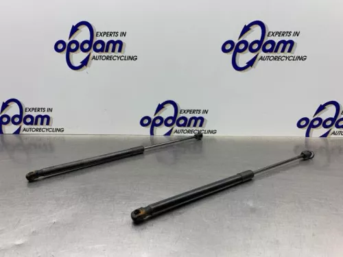 Set Gasdempers Achterklep-8255120