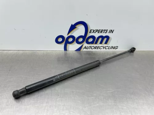 Set Gasdempers Achterklep-8228325 (22420277)