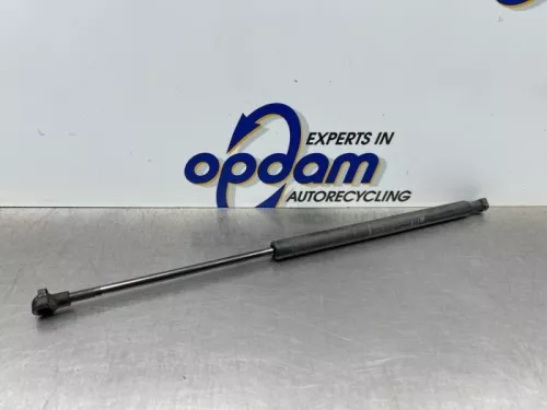 Set Gasdempers Achterklep-8228325 (22420277)