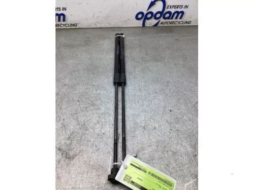 Set Gasdempers Achterklep-8277076