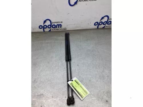 Set Gasdempers Achterklep-8220600