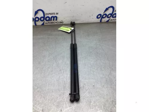 Set Gasdempers Achterklep-8220600 (22498908)