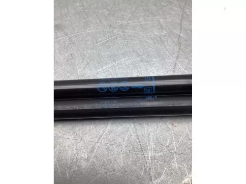 Set Gasdempers Achterklep-8220600 (22498908)