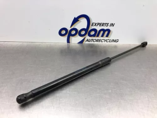 Set Gasdempers Achterklep-8196374 (21443723)