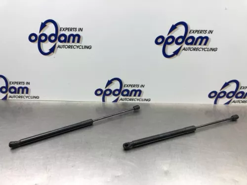 Set Gasdempers Achterklep-8268999