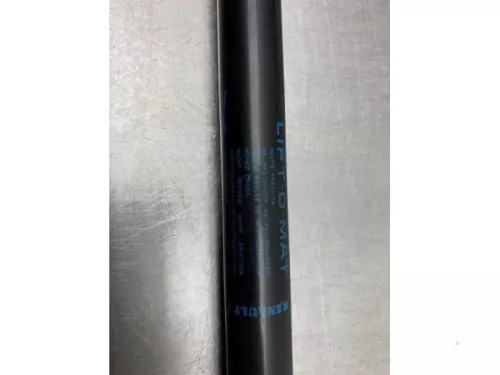 Set Gasdempers Achterklep-8187393 (21917891)
