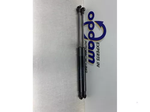 Set Gasdempers Achterklep-8187393 (21917891)