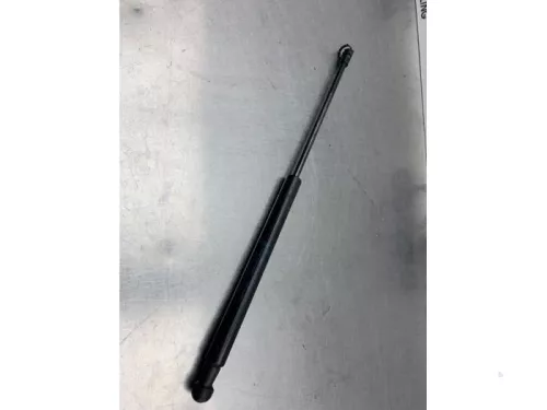 Set Gasdempers Achterklep-8271193 (22099385)