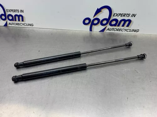Set Gasdempers Achterklep-8271193 (22099385)