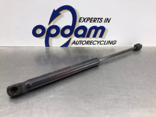 Set Gasdempers Achterklep-8200579 (20902597)