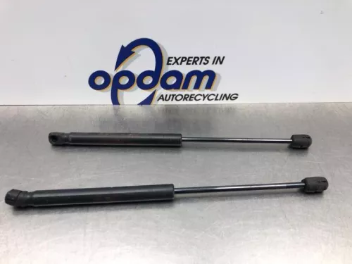 Set Gasdempers Achterklep-8200579 (20902597)