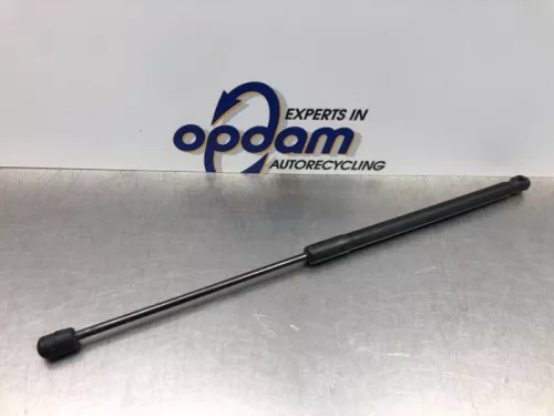 Set Gasdempers Achterklep-8225123 (21176677)