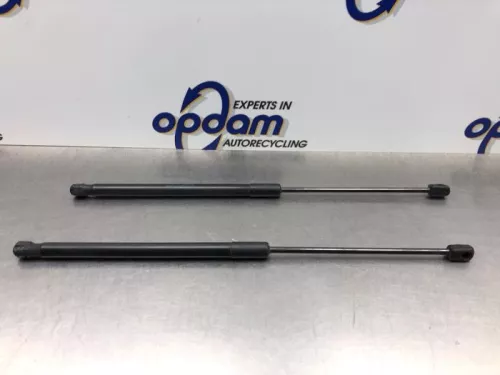 Set Gasdempers Achterklep-8225123