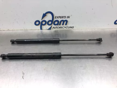 Set Gasdempers Achterklep-8108258 (19894906)