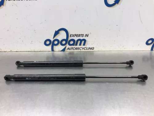 Set Gasdempers Achterklep-8163001 (20386973)