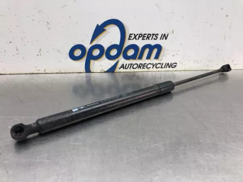 Set Gasdempers Achterklep-8163001 (20386973)