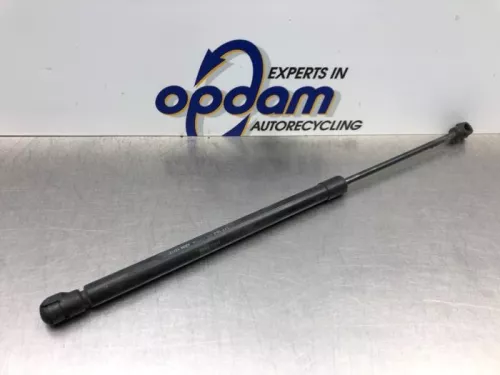Set Gasdempers Achterklep-8266510 (21778797)