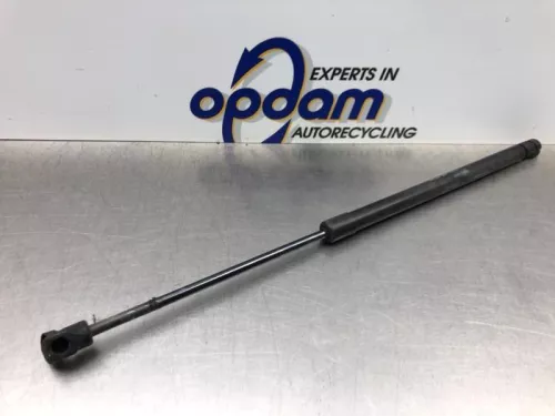 Set Gasdempers Achterklep-8266510 (21778797)