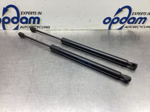 Set Gasdempers Achterklep-8091756 (19732158)
