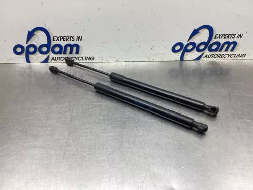 Set Gasdempers Achterklep-8091756 (19732158)