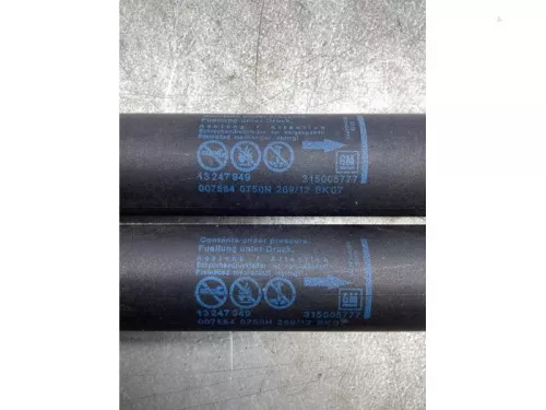 Set Gasdempers Achterklep-7714012 (17218327)