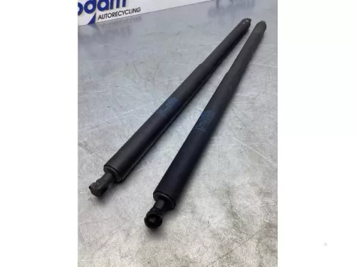 Set Gasdempers Achterklep-7714012 (17218327)