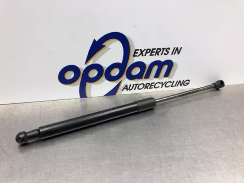 Set Gasdempers Achterklep-8178911 (20581102)