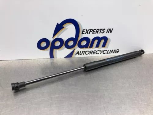 Set Gasdempers Achterklep-8178911 (20581102)