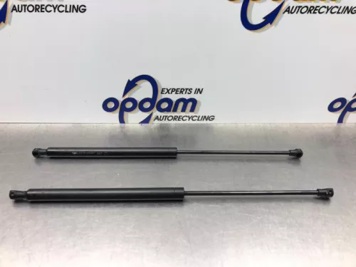 Set Gasdempers Achterklep-8178928