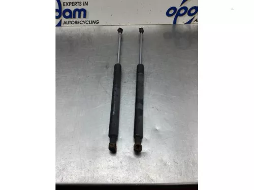 Set Gasdempers Achterklep-8053647 (19476674)