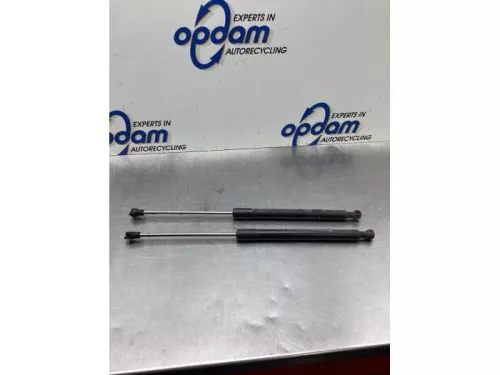 Set Gasdempers Achterklep-8053647 (19476674)