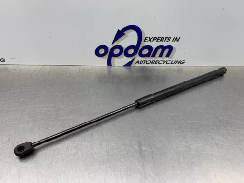 Set Gasdempers Achterklep-8150924 (21971736)